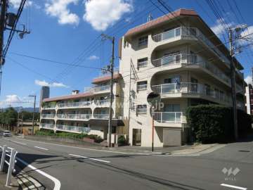スターハイツ住吉川の外観（南東側から）