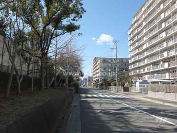敷地南側の前面道路
