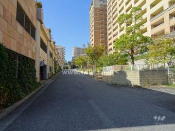 敷地南側の前面道路