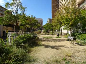 敷地に隣接する「野寄小公園」