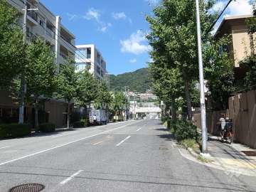 敷地東側の前面道路