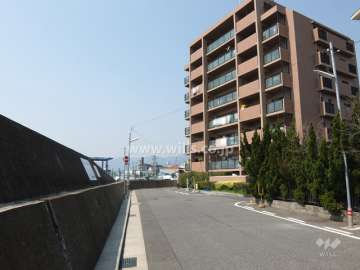 敷地南側の前面道路。道を挟んで海が広がっています。
