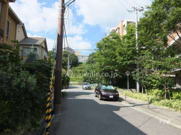 緑豊かな住環境。敷地の西側は一戸建て街です。