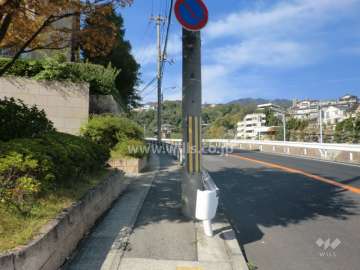 敷地北東側の前面道路。道を挟んで、住吉川が流れています。