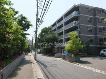 敷地南側の前面道路
