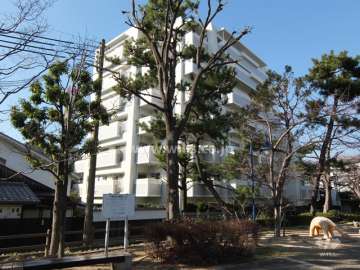 ハイツ住吉川公園の外観（南東側から）