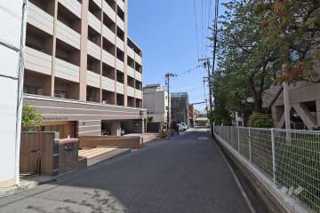 敷地西側の前面道路（北側から）