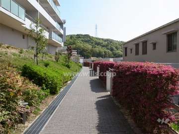 5番館の南側の通路