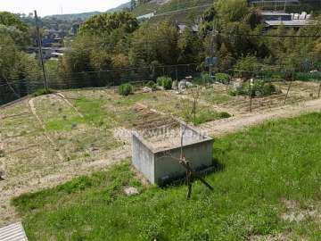 家庭菜園スペース