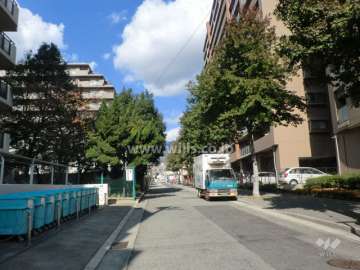 敷地西側の前面道路
