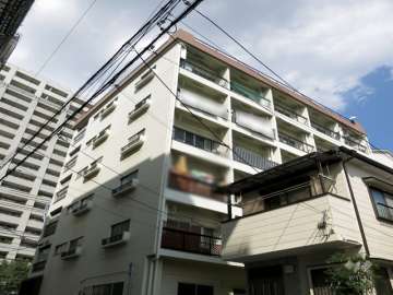住吉パームスの外観（南西側から）