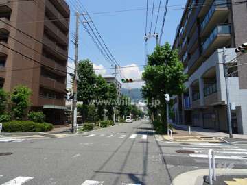 敷地東側の前面道路
