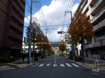 敷地東側の前面道路