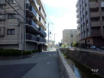 敷地西側の前面道路