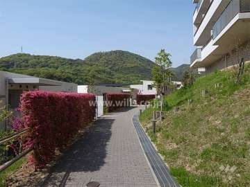 8番館の南側の通路