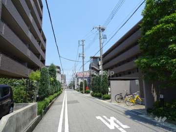 敷地北側の前面道路