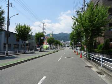 敷地西側の前面道路