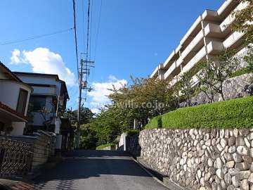 敷地南西側の前面道路。敷地は前面道路より一段高くなっています。