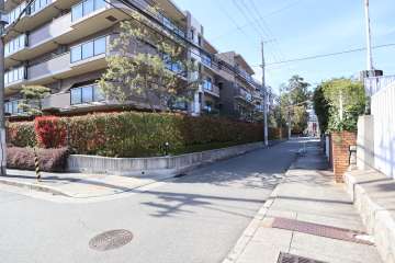 敷地東側の前面道路