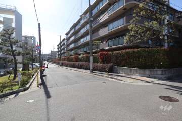 敷地南側の前面道路