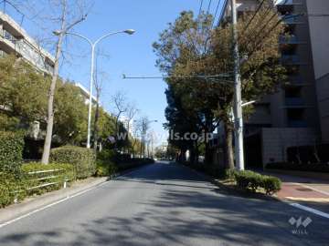 敷地北側の前面道路