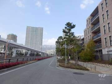 敷地西側の前面道路