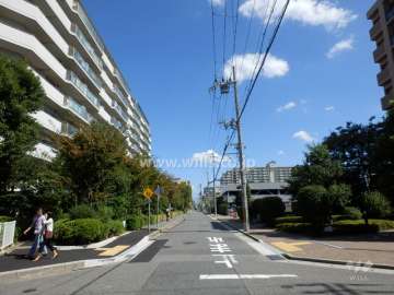 敷地南側の前面道路