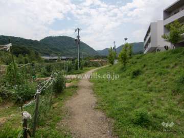 15番館の南側は家庭菜園スペースです。