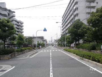 マンション南側の道路