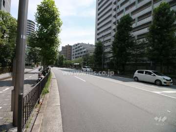 敷地東側の前面道路（北側から）