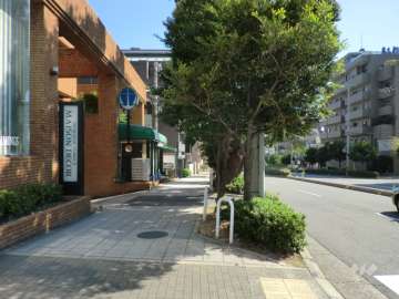 敷地西側の前面道路