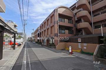 敷地北側の前面道路