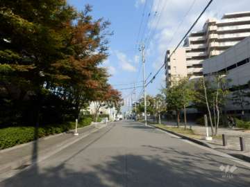 敷地北西側の前面道路