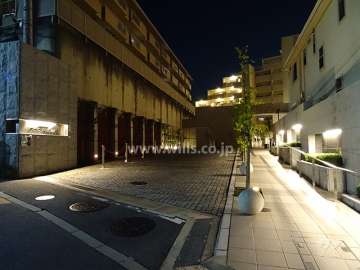 車路の夜景