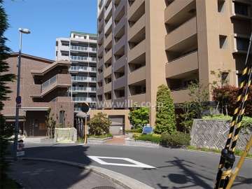 南側の建物とは間隔があります。