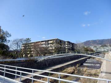 ザ・ハウス住吉本町の遠景