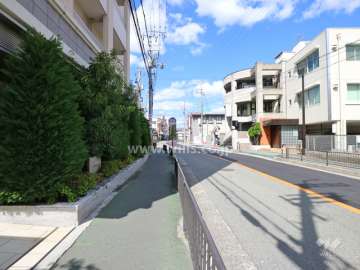 敷地内東側の前面道路（北側から）