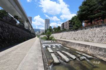 道路を挟んで「清流住吉川」が流れています。