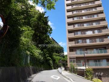 敷地南西側の前面道路。急勾配の坂道です。