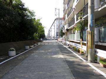 敷地南側の前面道路