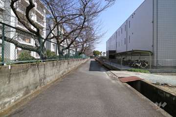 敷地の前面道路