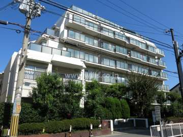 ラール住吉川スカイハイツの外観（南西側から）