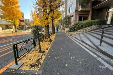 敷地の北東側前面道路（北西側から）