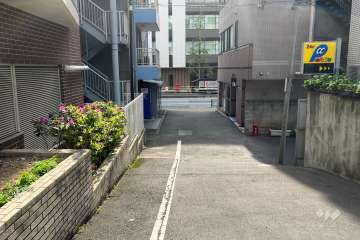 敷地の北側前面道路（東側から）