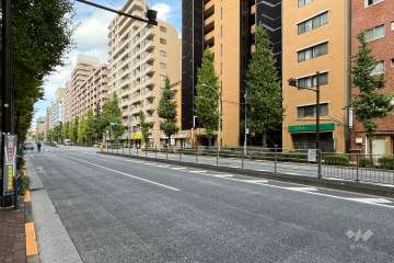 敷地の西側前面道路（南側から）