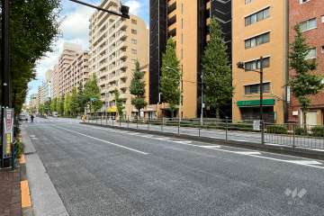 敷地の西側前面道路（南側から）