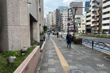敷地の北東側前面道路（南東側から）