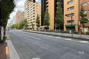 敷地の西側前面道路（南側から）