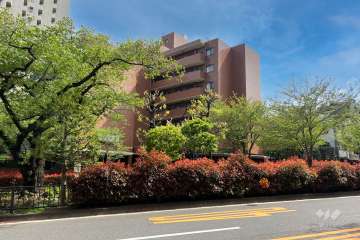 ファミール小石川の外観（北側から）