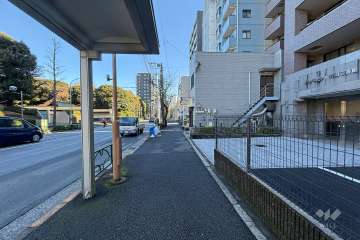 敷地の北側前面道路（西側から）